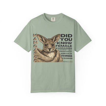 Kangaroo Fun Fact T-Shirt — "Did You Know Female Kangaroos" Graphic Tee