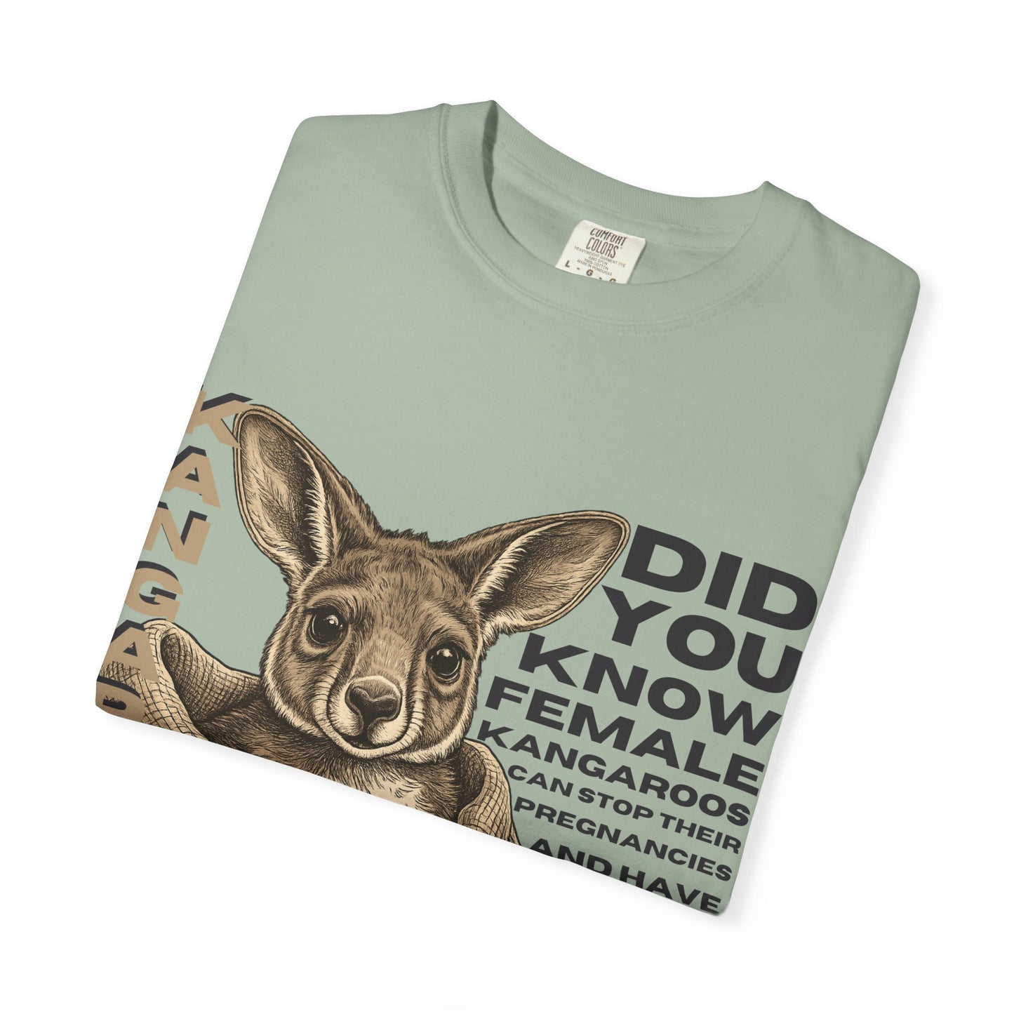Kangaroo Fun Fact T-Shirt — "Did You Know Female Kangaroos" Graphic Tee